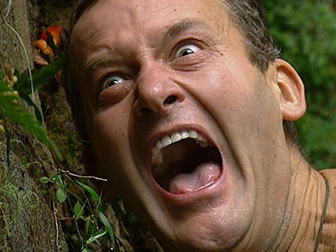 Ant & Dec reveal their best-ever bushtucker trials!