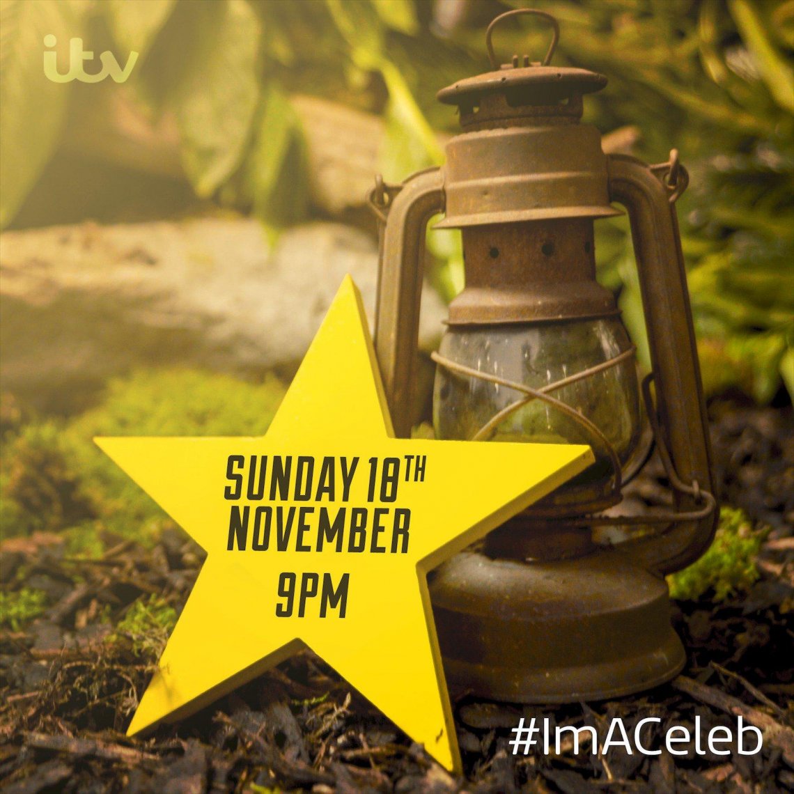 Ready, Steady... it's I'm a Celebrity! 