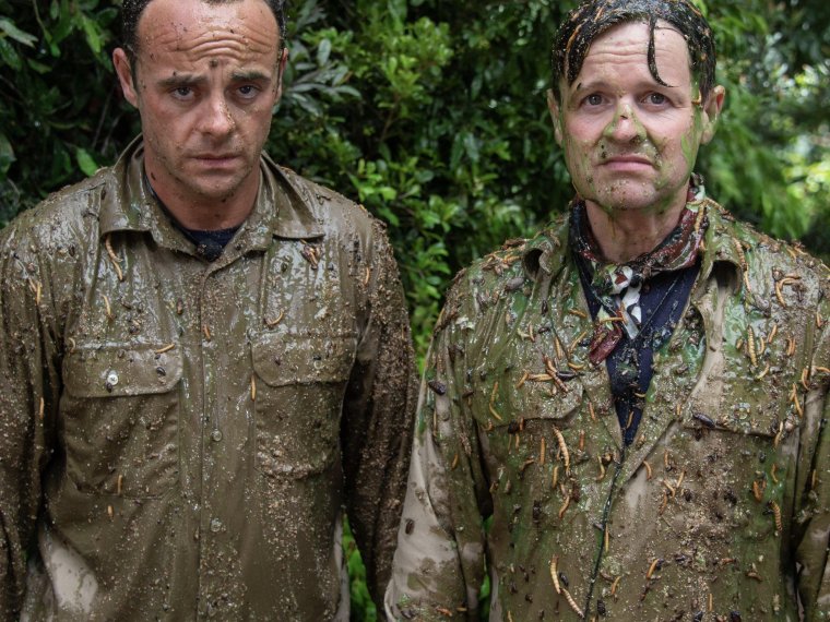 Ant & Dec get a taste of their own medicine in A Jungle Story